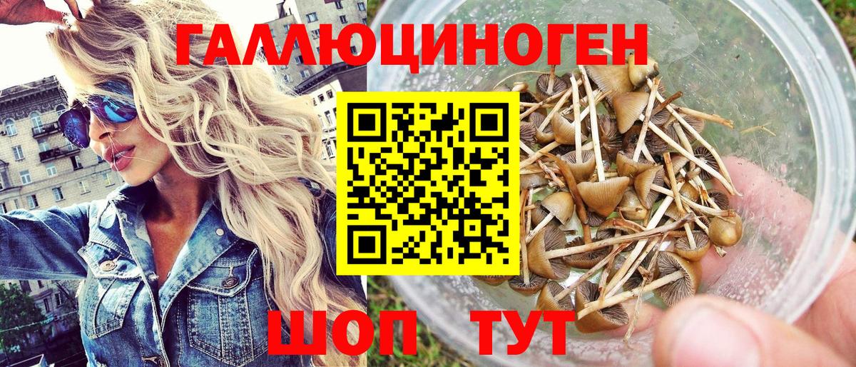 Спасск-Дальний  Псилоцибиновые грибы Psilocybine cubensis  Вход с VPN 